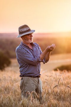 A farmer standing in his field in the middle of wheat ears