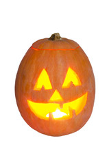 orange pumpkin on white background