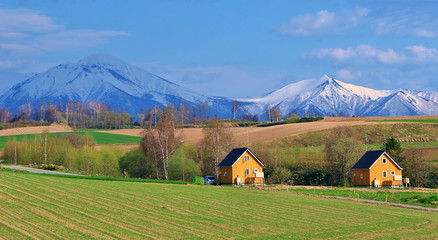The hills of farm and  Biei