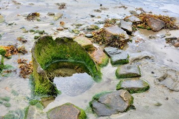 Source d'eau potable dans la mer par marée basse
