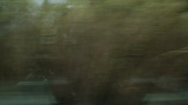 Vista fuori dal finestrino del treno in viaggio con panorama di alberi e natura