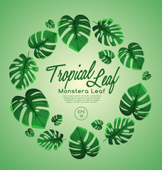 Invitation Card Template with Exotic Tropical Leaves : Vector Illustration