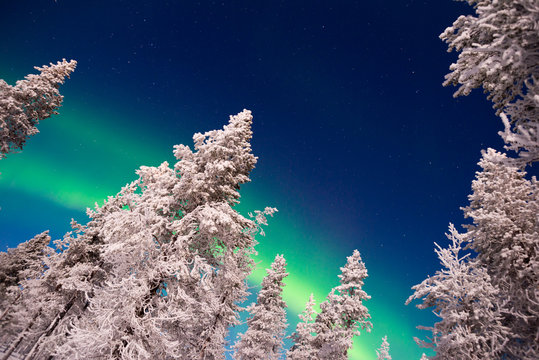 Northern lights, Aurora Borealis in Lapland, Finland