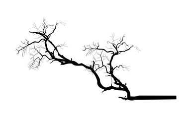 Tree Branch Vector Silhouette - clip-art cartoon vector