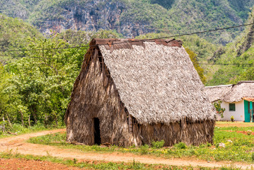 Fototapeta na wymiar View of the rural hut in Vinales, Pinar del Rio, Cuba. Close-up.