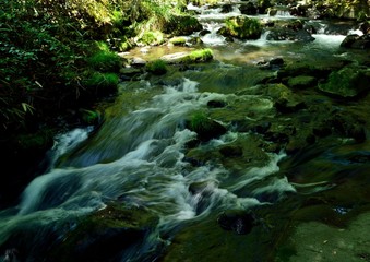 山の奥の渓流
