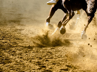 Palio di Asti con corsa dei cavalli al galoppo