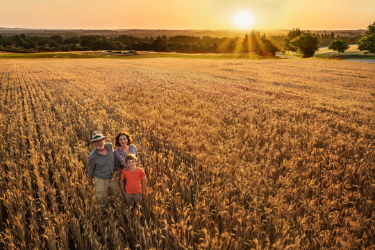 Farmer family standing in their wheat field at sunset