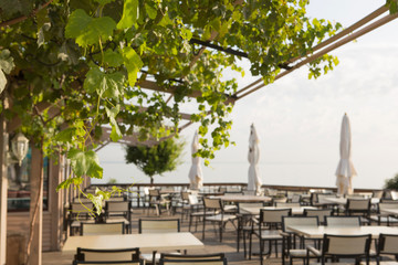 Summer cafe, terrace, restaurant with open area, decorative grapes in the foreground
