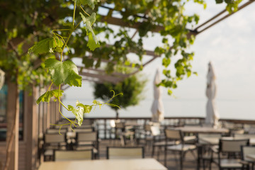Summer cafe, terrace, restaurant with open area, decorative grapes in the foreground