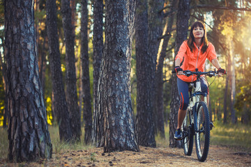 cyclist cycling mountain bike on Pine forest trail