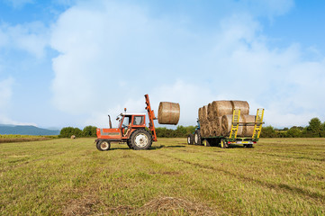 Agricultural scene. Tractor lifting hay bale on barrow.
