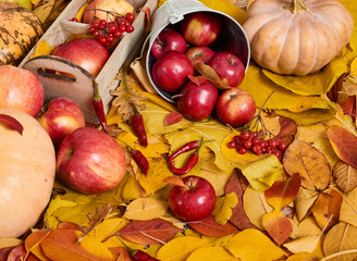 Autumn background from yellow leaves, apples, pumpkin. Fall season, eco food and harvest concept