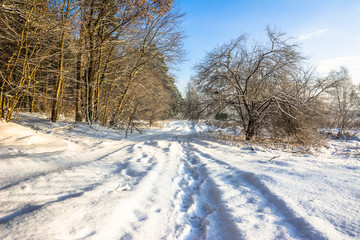 Fototapeta na wymiar Winter landscape with snow on path through forest