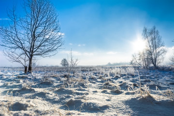 Winter landscape of field in snow and sky with sun in the morning frost
