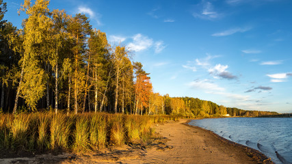 панорама осеннего пейзажа на берегу озера с лесом и камышом, Россия, Урал © 7ynp100