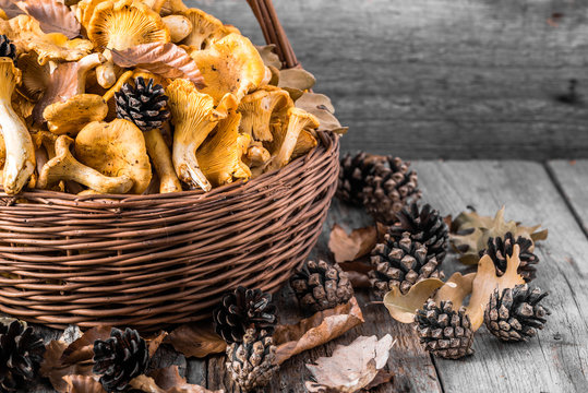 Fresh chanterelles mushrooms in a basket on wooden table