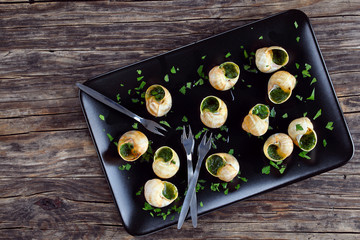 gourmet dish - Snails with herb, butter, garlic