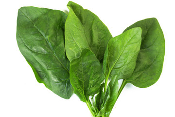  spinach leaves