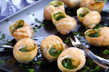 gourmet dish - Snails with herb, butter, garlic