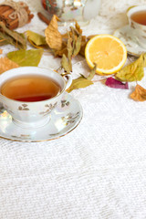 Autumn still life with tea cup on wooden planks and blur trees on background