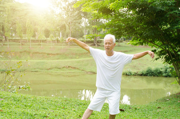 Asian old man practicing qigong in the park