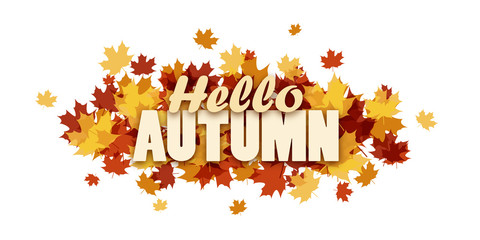 HELLO AUTUMN banner with leaves © Web Buttons Inc