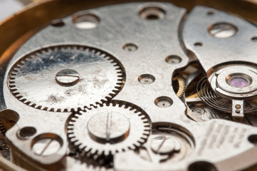 Detail of watch machinery on the table. 