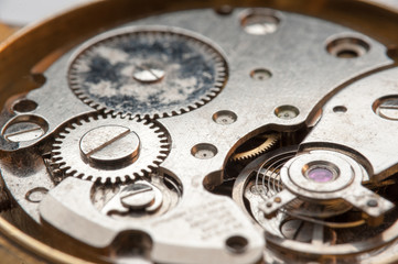 Detail of watch machinery on the table. 