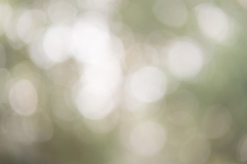 Green bokeh background. Element of design.