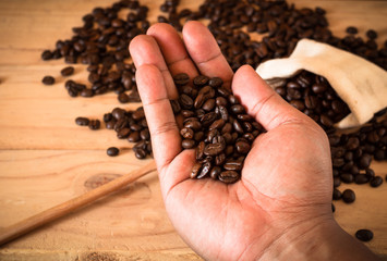 a hand hold coffee bean over bean and sack on wooden table