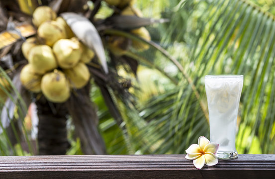Fresh coconut juice on wooden fence over blurred coconut tree background, healthy drink
