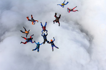 Skydivers