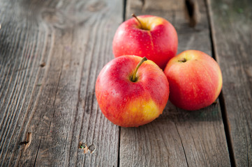 Close up fresh Ripe organic red apples with water drops on the rustic wooden table. Space for text. Selective focus. Autumn harvest concept. Vegetarian, vegan, healthy diet food.