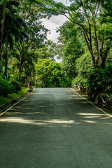 Obraz premium Asphalt country road