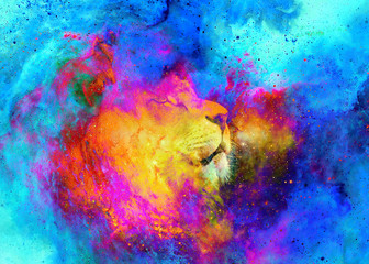 Lion in the cosmic space. Lion photos and graphic effect.