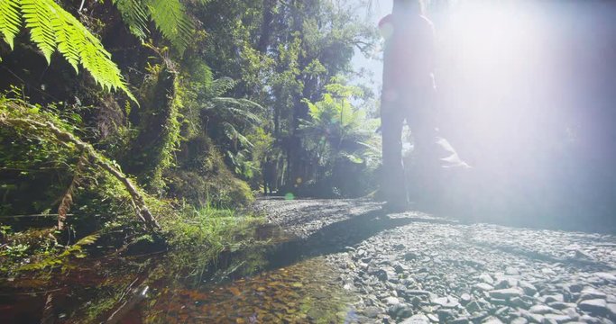 Hikers healthy active lifestyle in New Zealand. People hiking in swamp forest nature landscape in Ship Creek on West Coast of New Zealand. Tourist couple sightseeing tramping on New Zealand.