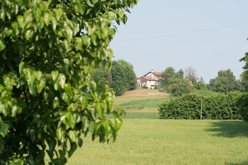 Rural houses of Friuli hills