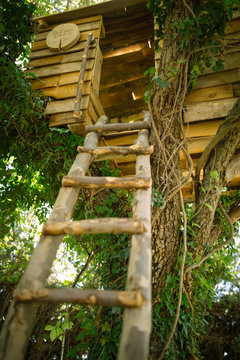 Children's treehouse surrounded by greenery