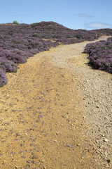 Track in Parys Mountain Copper Mine; Amlwch; Anglesey; Wales