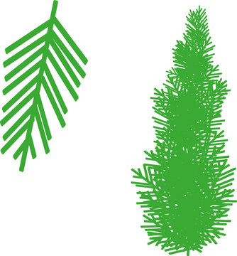Cypress