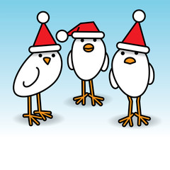 Three Staring White Chicks in Santa Hats