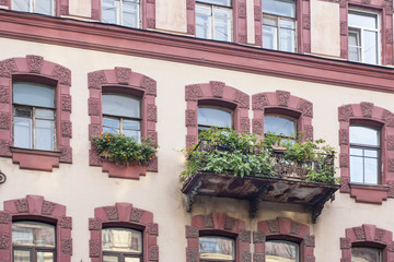Obraz premium Green flowers on balcony on fashionable facade of old european building. 