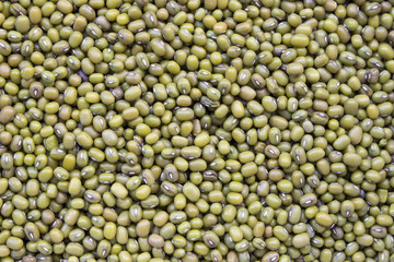 Green beans, mung beans close-up, background