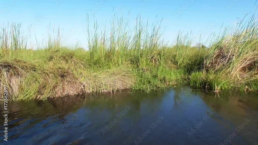 Poster sailing through the channels of the okavango delta in botswana