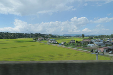 Fototapeta na wymiar 東北新幹線　窓からの景色