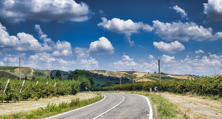 Summer landscape in Romagna (Italy)