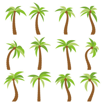 Set of sixteen different cartoon palm trees isolated on white background. Vector illustration
