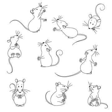 Funny, lovely mice.