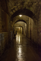 Fototapeta na wymiar Fort Douaumont Verdun